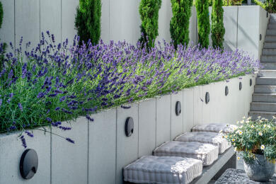 Conturo Mauerscheiben gestrahlt  2705 032