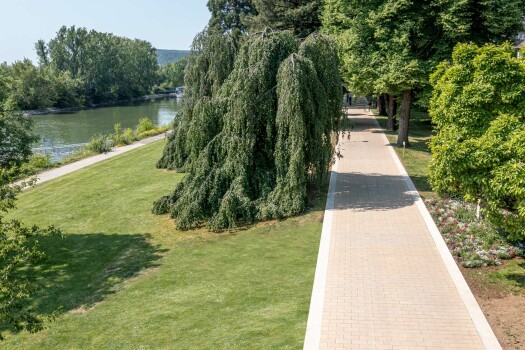 Koblenz (D), Kaiserin-Augusta-Promenade, Corio EcoTerra, Objectcolor 8015.