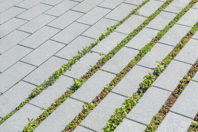 Greenline Rasenfugenstein Cubus Vario Grau Nordwalde 2706 026