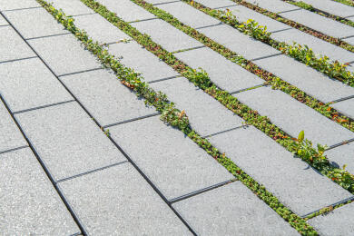 Greenline Rasenfugenstein Cubus Vario Grau Nordwalde 2706 028