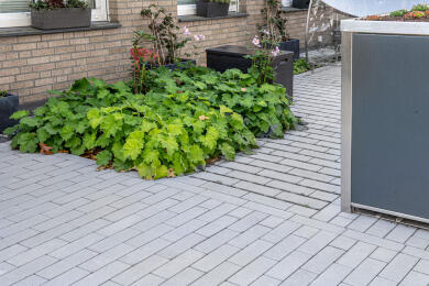 Greenline Vario Cubus Rasenfugenstein Grau 2738 006