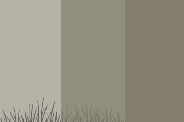 Aero Dusk