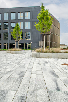 Cologne (D), Eltzsche Administration, Umbriano Grey granite-white.