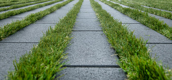 Greenline®-Grasvoegensteen