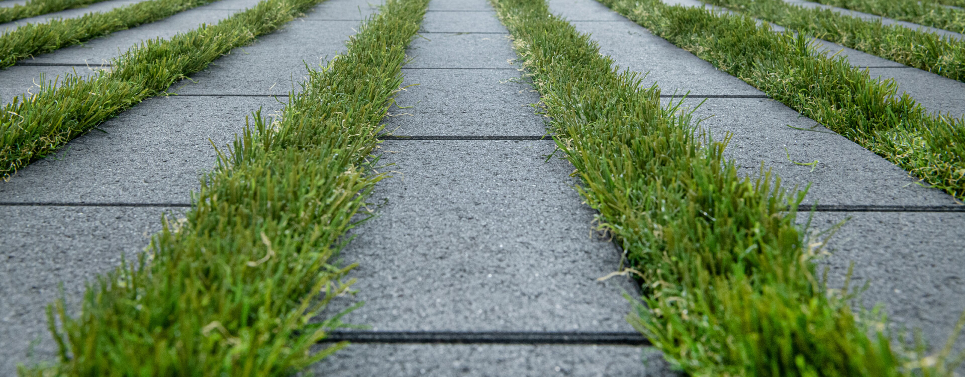 Greenline-Grasvoegensteen, Umbriano Grijsantraciet.